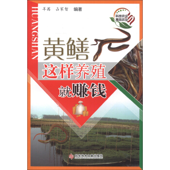 �S�X�@���B(y��ng)ֳ��ٍ�X