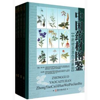 �Ї�ˎ�ĈD�b����ˎ�ļ����Ʒ�b�e�����b��4��(c��)��