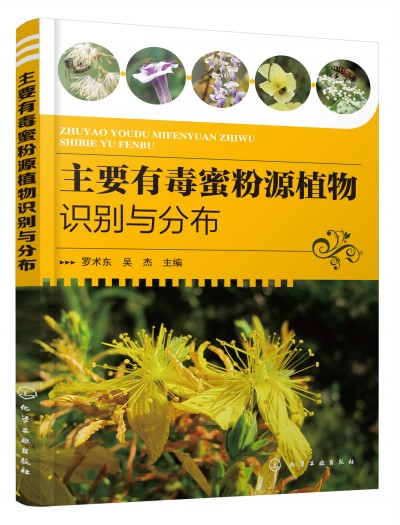 ��Ҫ�ж��۷�Դֲ���R(sh��)�e�c�ֲ�