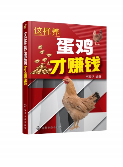 �@���B(y��ng)���u��ٍ�X