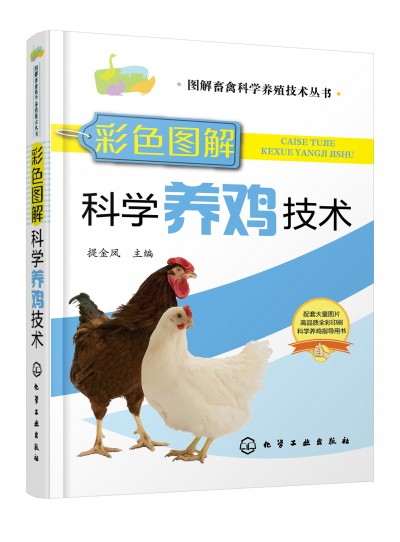 �D�����ݿƌW�B(y��ng)ֳ���g����--��ɫ�D��ƌW�B(y��ng)�u���g