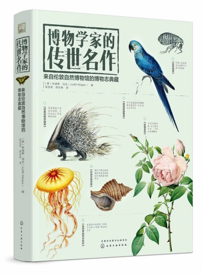 ����W(xu��)�ҵĂ������������Ԃ�����Ȼ�����^�Ĳ���־���