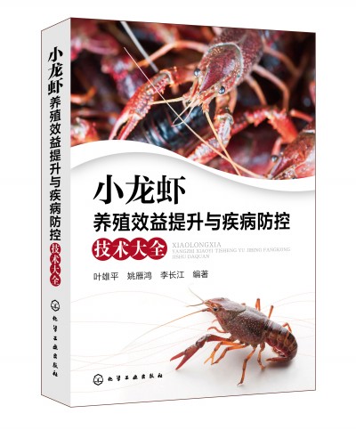 С���r�B(y��ng)ֳЧ�������c�������ؼ��g(sh��)��ȫ