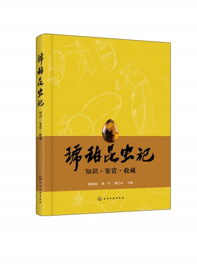 �������x(ch��ng)ӛ��֪�R(sh��)���b�p���ղ�