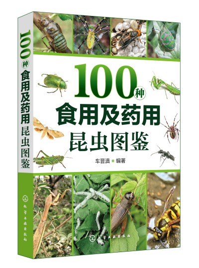 100�Nʳ�ü�ˎ�����x�D�b