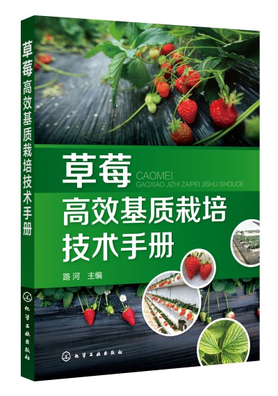 ��ݮ��Ч���|(zh��)���༼�g(sh��)�փ�