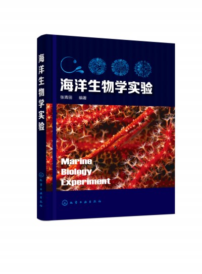 ��������W���(������)