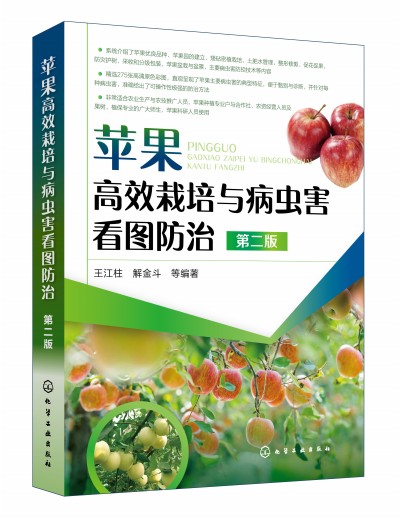 �O����Ч�����c���x�����D���Σ��ڶ��棩