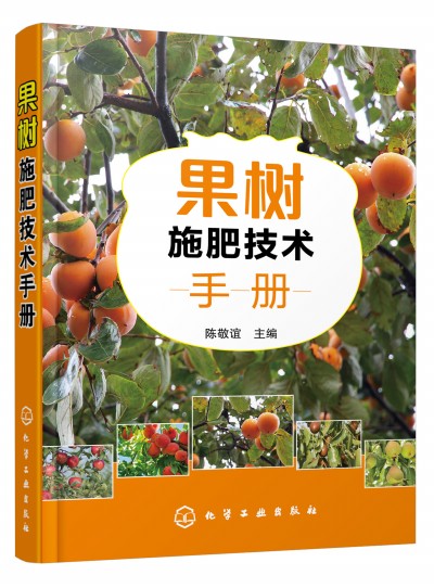 ����ʩ�ʼ��g(sh��)�փ�