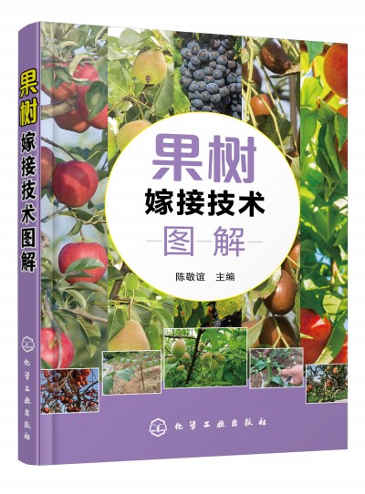 ����(sh��)�޽Ӽ��g(sh��)�D��