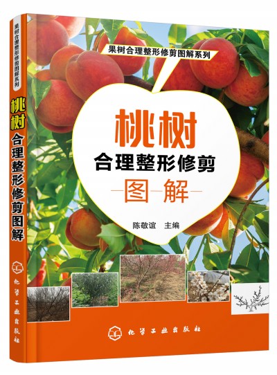 ������������޼�D��ϵ��--�Ҙ���������޼�D��