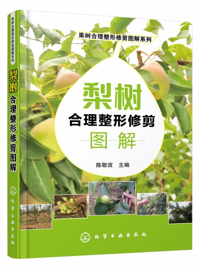 ������������޼�D��ϵ��--�����������޼�D��