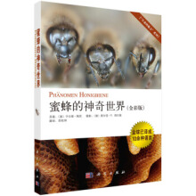 �۷����������