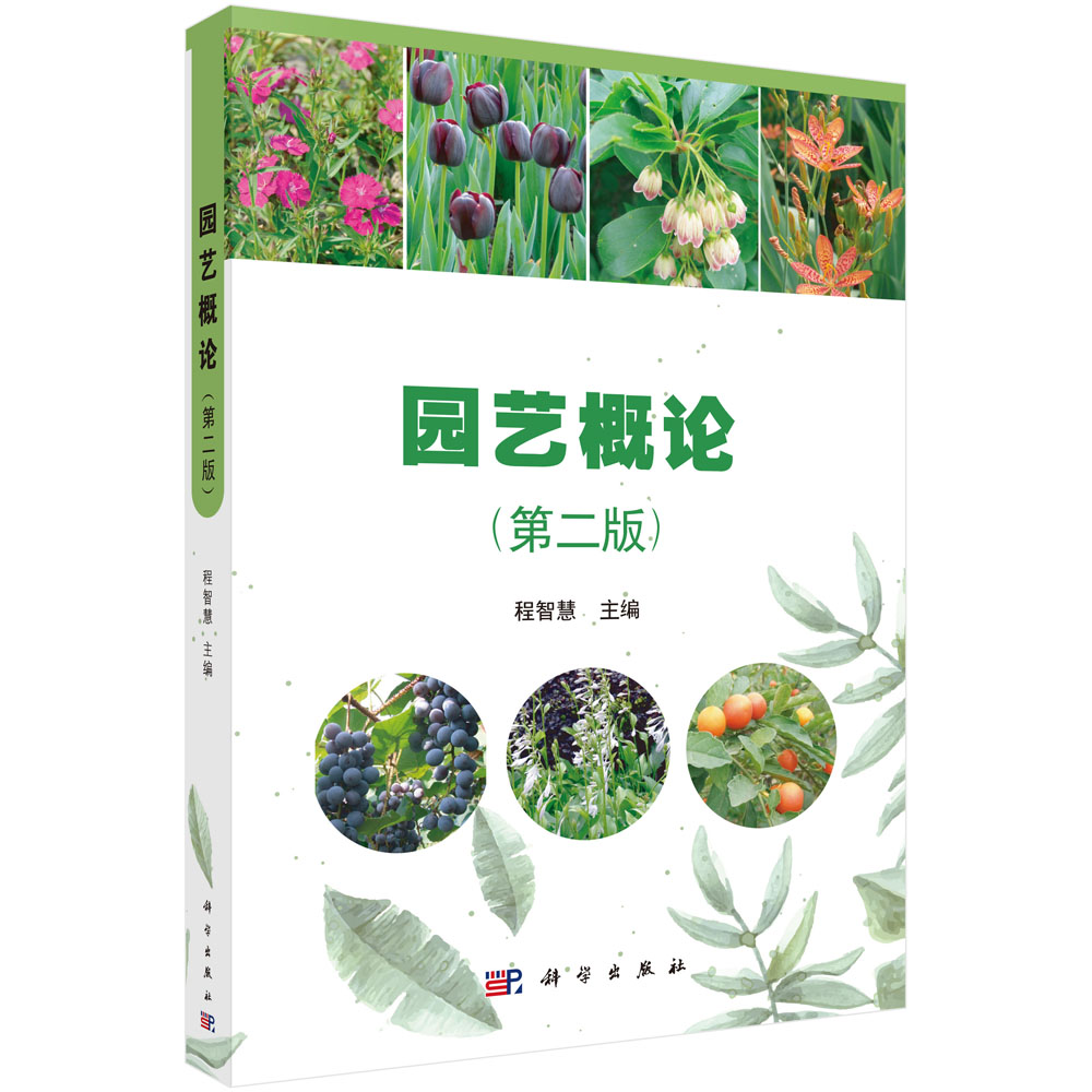 �@ˇ��Փ���ڶ��棩