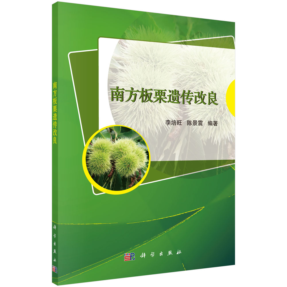 �Ϸ������z������