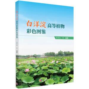 ������ߵ�ֲ���ɫ�D�b