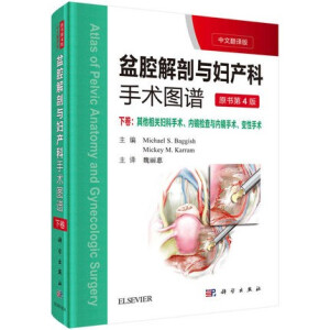 ��ǻ�����c�D�a(ch��n)�����g(sh��)�D�V �¾������ķ��g�� ��4�棩