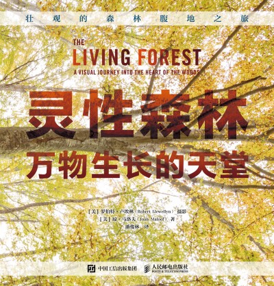 �`��ɭ�� �f�����L������