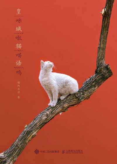 �ʳ�؈�Z ���費ͣ���}���~