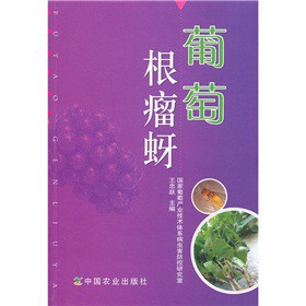 ���Ѹ�����