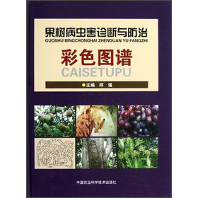 ����(sh��)���x���\���c���β�ɫ�D�V