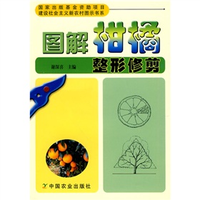 �D����������޼�