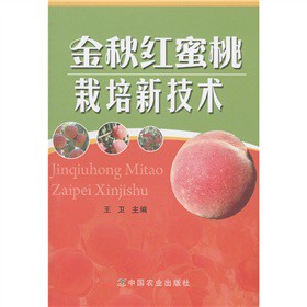 ����t���������¼��g(sh��)