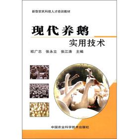 �F(xi��n)���B(y��ng)�Z��(sh��)�ü��g(sh��)