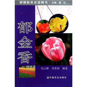 �ʈD���B(y��ng)���f������������