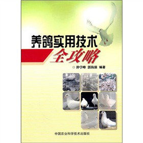 �B(y��ng)����(sh��)�ü��g(sh��)ȫ����