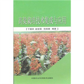 �������༼�g(sh��)�����c��(y��ng)��