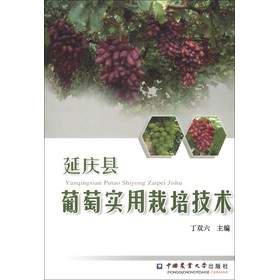 �ӑc�h���ь������༼�g(sh��)