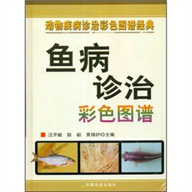 �~(y��)���\�β�ɫ�D�V