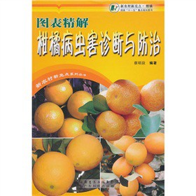 �D��������ٲ��x���\���c����