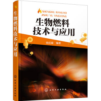 ����ȼ�ϼ��g(sh��)�c��(y��ng)��