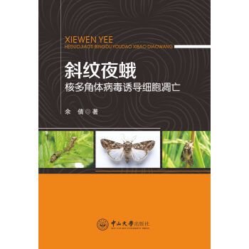 б�yҹ��˶���w�����T��(d��o)��(x��)������