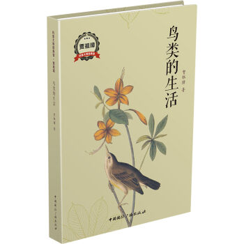 �B(ni��o)�����