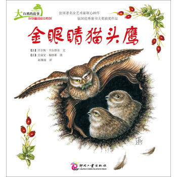 ����Ȼ�Ĺ��¿ƌW(xu��)ͯԒ�L��ϵ�У����۾�؈�^��