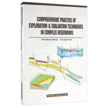 ��(f��)�s�͚�ؿ�̽�u�r���g(sh��)����(y��ng)�ã�Ӣ�İ棩