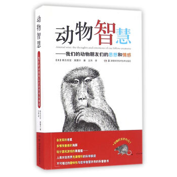 ��(d��ng)���ǻۣ��҂��Ą�(d��ng)�����т���˼������