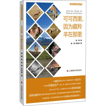 �ɿ���������������������