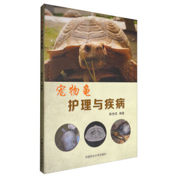 �������o���c����