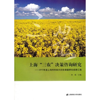 �Ϻ������r(n��ng)���Q����ԃ�о���2010����Ϻ��пƼ��d�r(n��ng)ܛ�n�}�о��ɹ��R��