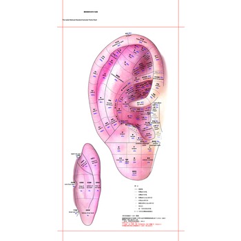 �����Ҙ˜ʶ�Ѩ��D(���˰�)