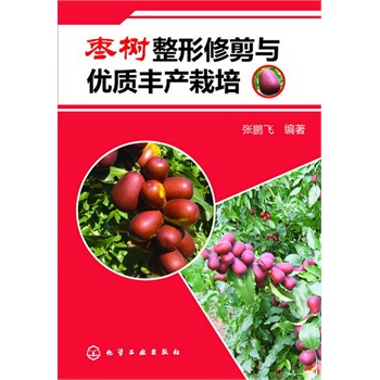 ���������޼��c��(y��u)�|(zh��)�S�a(ch��n)����