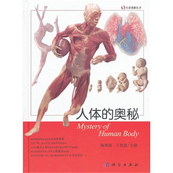 ���w�ĊW��