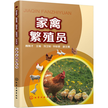 ���ݷ�ֳ�T