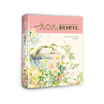 һ�ũ�����Ӣ���l(xi��ng)Ұ��ӛ