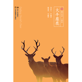 ���S��¹����̖(h��o)���K���ڴ�������ɫȫ�ʣ�