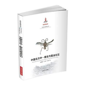 �Ї�(gu��)�����С����������x(ch��ng)��ʯ